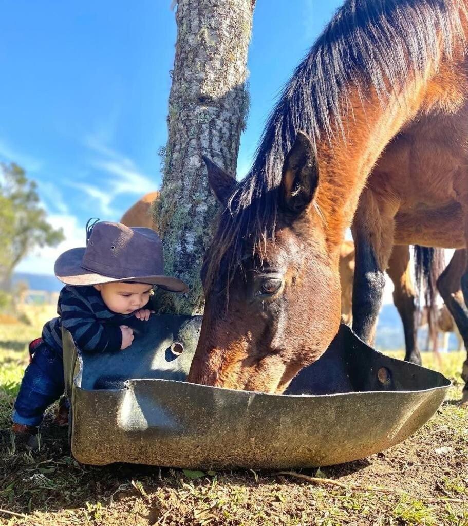 Вилла Rancho Sol Poente - Rancho Queimado - Sc Экстерьер фото